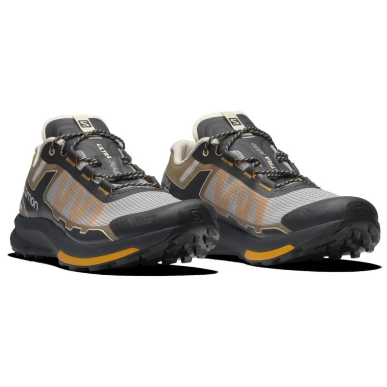 Tenis Salomon Ultra Raid Masculino Pretas Cinzentas Marrom | PT U41850